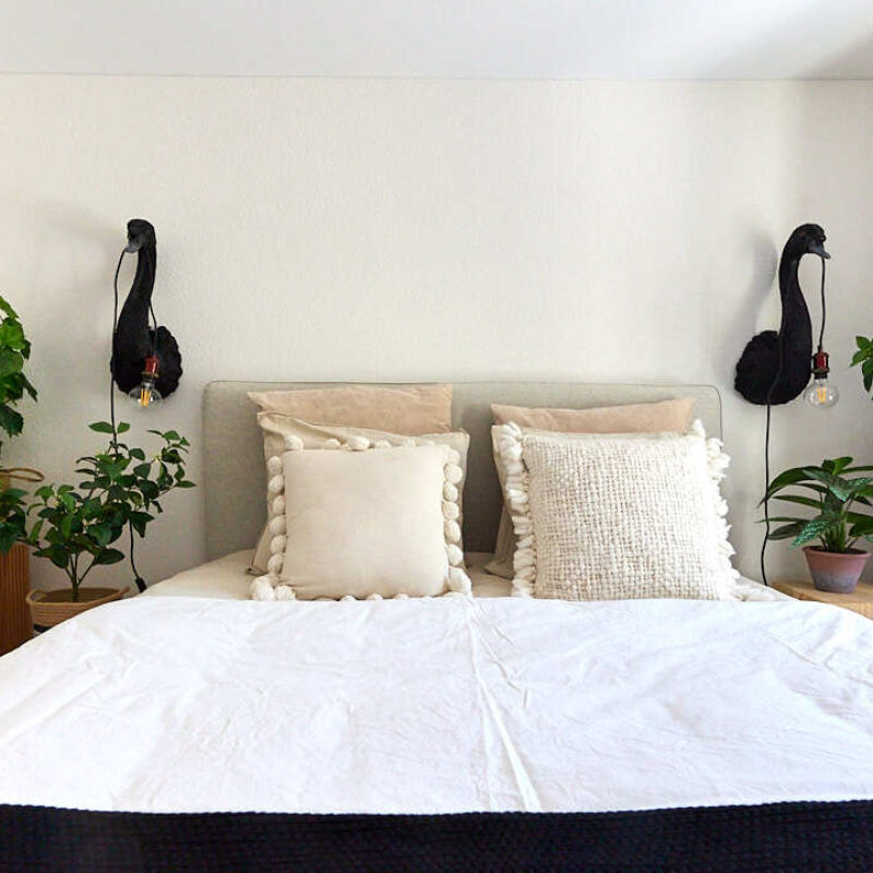 Apartment 101 11