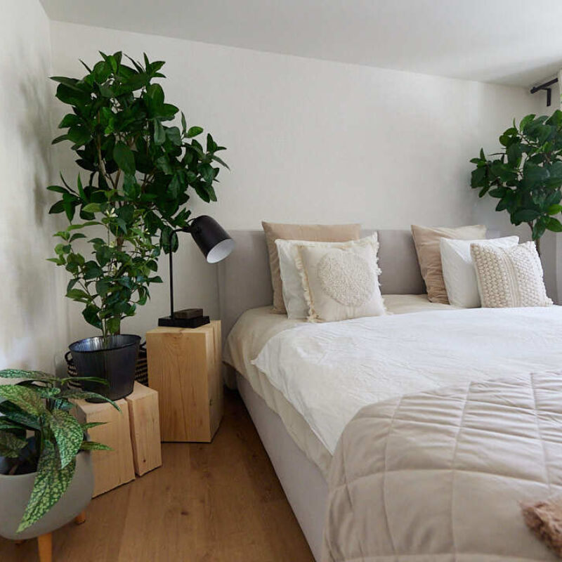 Apartment 101 8
