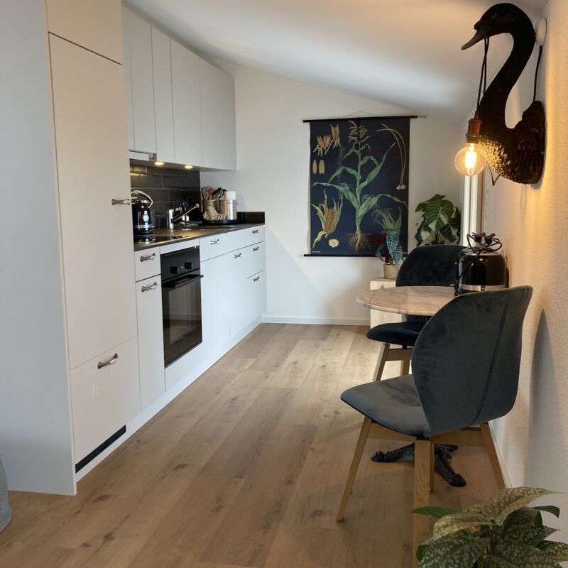 Apartment 201 3